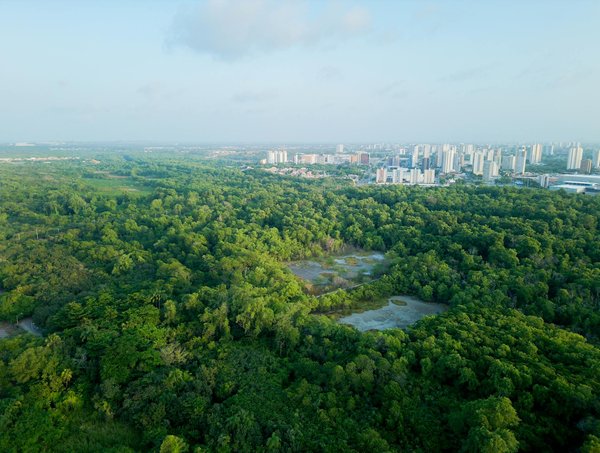 Avocat en droit immobilier : votre allié juridique