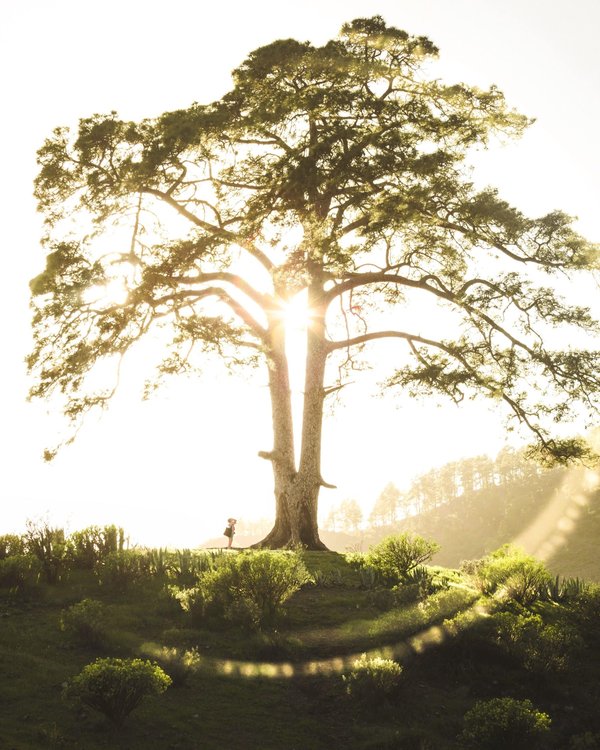 les concerts les plus emblématiques de l'histoire de la musique