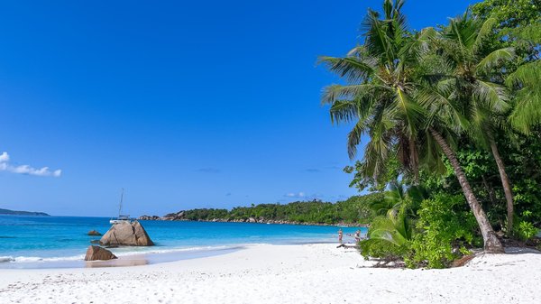 Escapade exotique : voguer vers des destinations paradisiaques en croisière