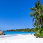Escapade exotique : voguer vers des destinations paradisiaques en croisière